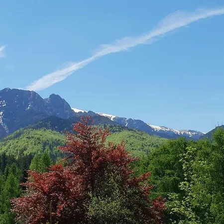 Bel-ami Bed & Breakfast Zakopane